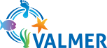Logo Valmer