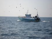 Bateau de pêche - CRPM Aquitaine