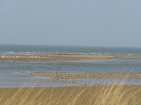 Reposoir La perrotine - RNN de Moeze Oléron et LPO - RNN de Moeze Oléron et LPO