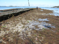 Trégor Goëlo, zone spéciale de conservation - Communauté de communes de Paimpol Goëlo - M. Barre
