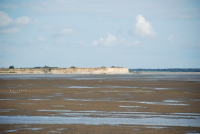 Vasière à l'anse des Boucholeurs - Réserve naturelle nationale du marais d'Yves - ML Cayatte