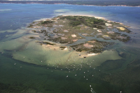 Vue aérienne de l'Ile aux oiseaux - T. Duprat